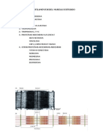 Miofilamentos Del Musculo Estriado