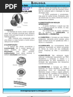 Bio.resumo.nucleo