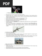 Download Ciri Khusus Hewan by Rasidah Mohamad SN135134480 doc pdf