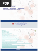 Enterococcus Lucia Teixeira (1)