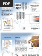Download Leaflet Obesitas by Yana Taryana SN135142769 doc pdf