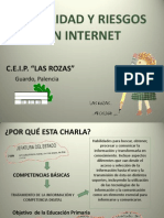 Seguridad y Riesgos en Internet