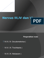 Nervus III, IV Dan VI