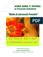 Flores y Reiki - Niños PDF