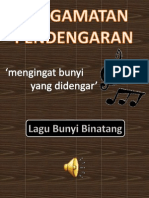 Pengamatan Pendengaran