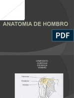 HOMBRO Anatomia