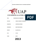 Proceso de Auditoria de Sistemas