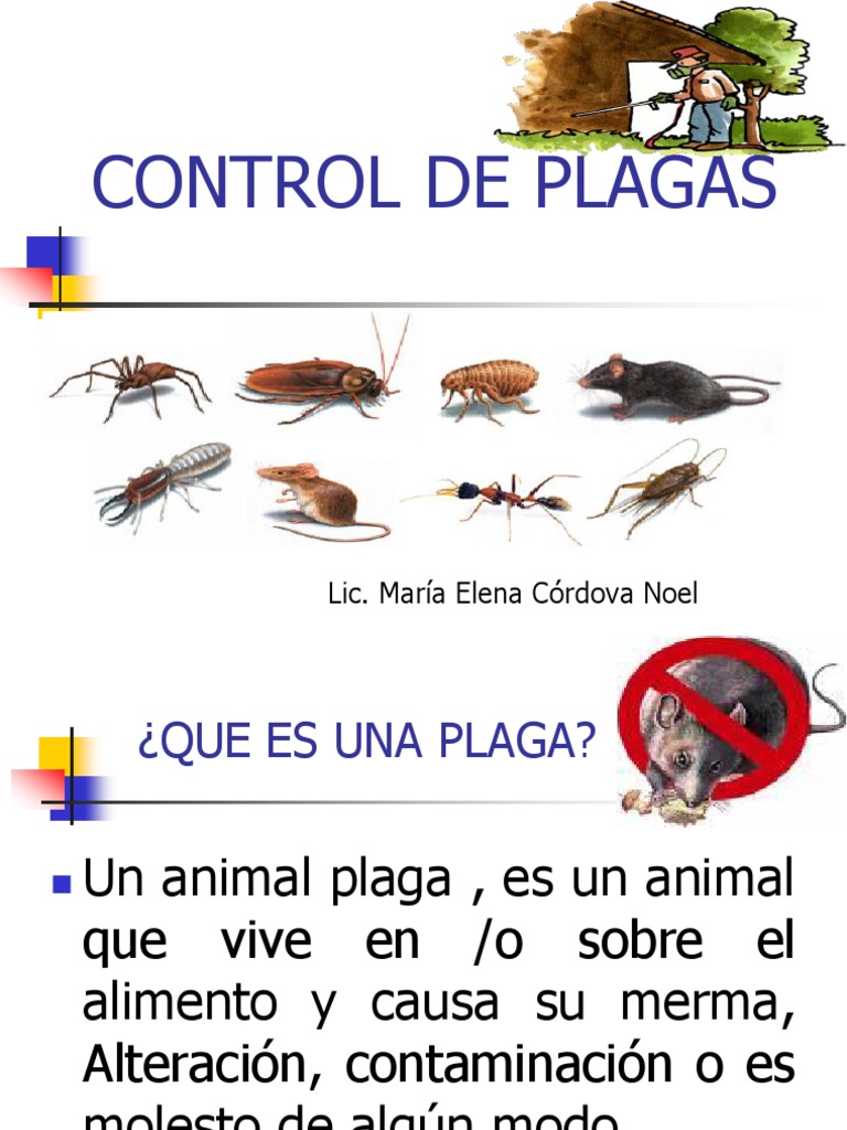 Control de Plagas | PDF | Plaga (organismo) | Insectos