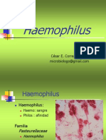 64583084 Haemophilus Brucella Listeria Usmp 2011