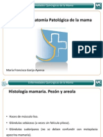 Mod2 - 1 Patologia Mamaria PDF