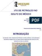 VAZAMENTO NO GOLFO DO MÉXICO - SLIDES