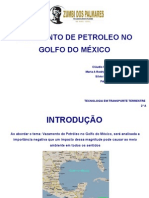 Vazamento No Golfo Do México - Slides