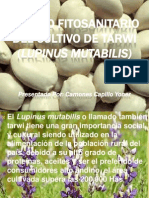 1.1Manejo fitosanitario del cultivo de tarvvi lupinus mutabilis.pptx