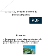 Estuarios, Arrecifes & Litorales Marinos