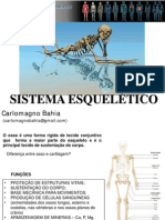 Carlo Osteologia09