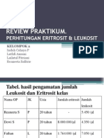 Review Hitung Eritrosit & Leukosit