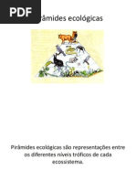 236489-Pirâmides_ecológicas