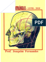 Anatomia Odontologica II - Prof Joaquim Fernandes