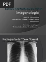 estudoradiolgicodotraxdcg-fisioterapiapdf-121028164314-phpapp02