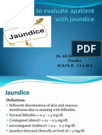 Dr. Ali Abdul Hussein's Guide to Jaundice Causes and Evaluation
