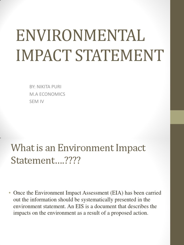 thesis statement on environmental issues