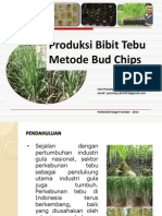 Produksi Bibit Tebu Metode Budchip - Hariprasetyo - 2013