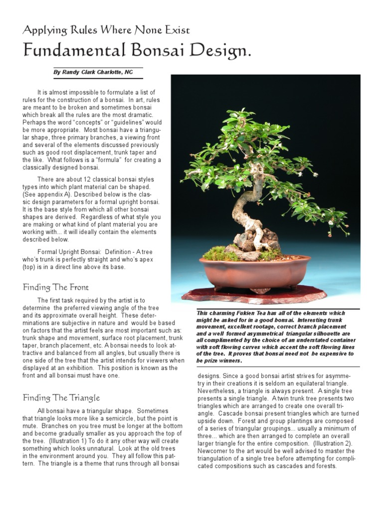 Rules of Bonsai Bonsai Trees