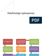 Patofisiologi Leptospirosis