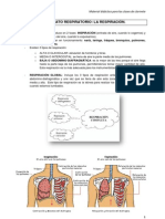 La Respiración. Ejercicios de Respiración