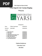 Download Skenario 1 Pbl Blok Urin FKUY by Wildan Yoga SN135322836 doc pdf