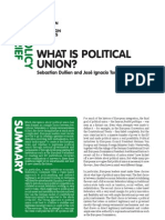 What Is Political Union