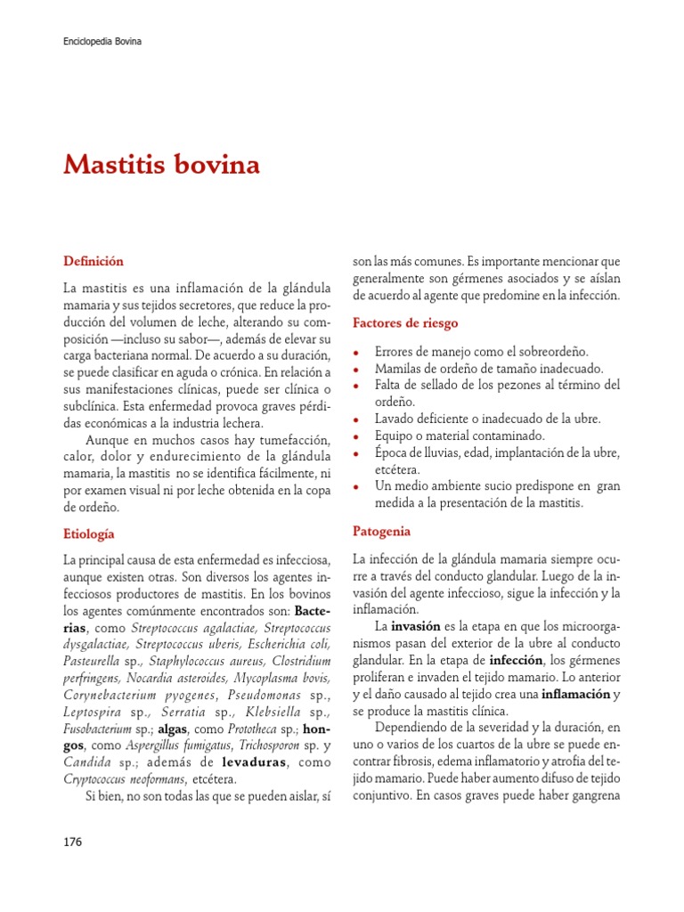 UFC: Israel Adesanya reveló que sobrevivió ocho veces a la malaria y no  teme al coronavirus - El Fildeo, image size:768x1024