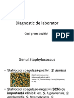 LP7 Coci Gram Pozitivi Vazut Si Corectat