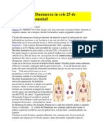 Farmacia Lui Dumnezeu in Cele 25 de Alimente Ale Omului