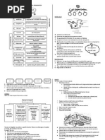 Physics Form 4 Dlp Answers Pdf Refraction Optics