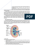 Anyang Anyangan Glomerunefritis Akut