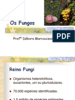 Os Fungos: decompositores e patógenos essenciais