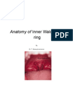 32352039 Waldayer s Ring Anatomy