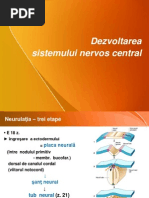 Snc Dezv Curs