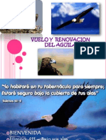 Aprendiendo Del Vuelo y La Renovacion de Las Aguilas