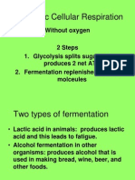 Cellular Processes Special Topics