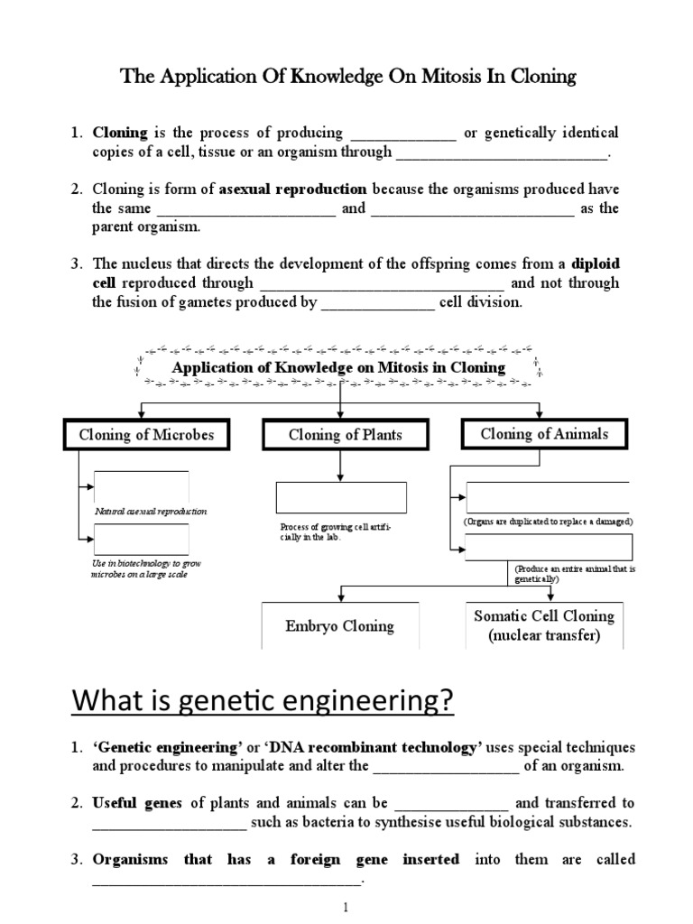 The Application of Mitosis in Cloning | PDF | Cloning | Reproduction