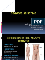 SINDROME NEFRITICO Exposicion