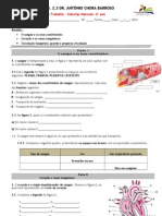 Ficha Sintese - Sistema Circulatorio