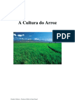 91200037 a Cultura Do Arroz