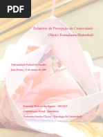 Relatório percepção criativa