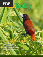 Download Rice Today Vol 12 No 2 by Rice Today SN135494737 doc pdf