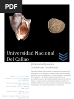 Download Informe Biologico Stramonita Chocolata Concholepas Concholepasdocx by Alvaro Tello Del Carpio SN135504112 doc pdf