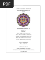Download OTOT PADA MANUSIA by Cipto Suriantika SN135508894 doc pdf
