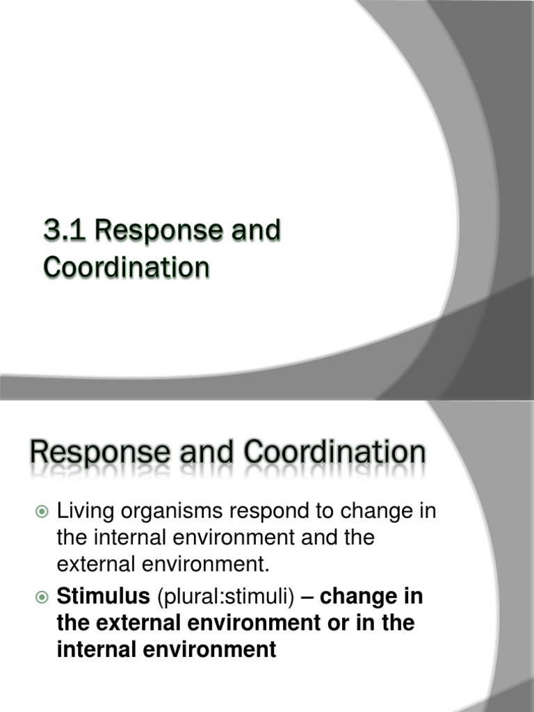 3 1 Coordination and Response | PDF